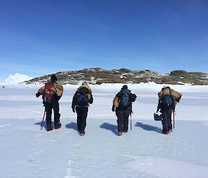 Four people walk across the sea ice in a row towards an island.