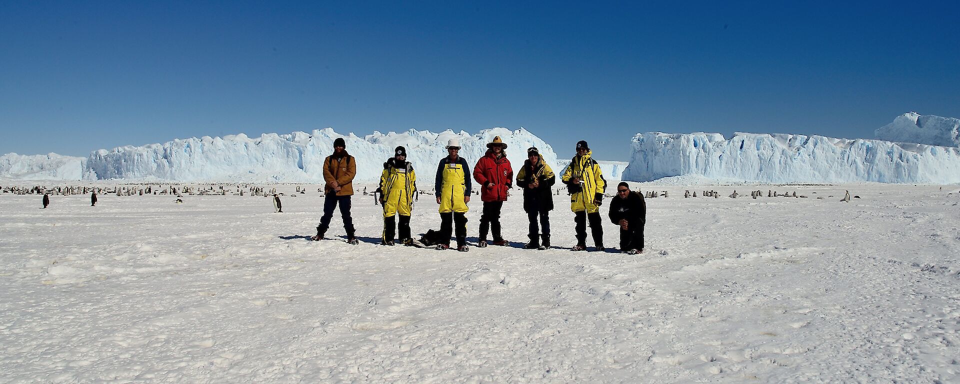 7 people are lined up in front of a penguin rookery with icebergs in the background.