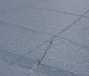 Sea ice with square and jagged shaped cracks.