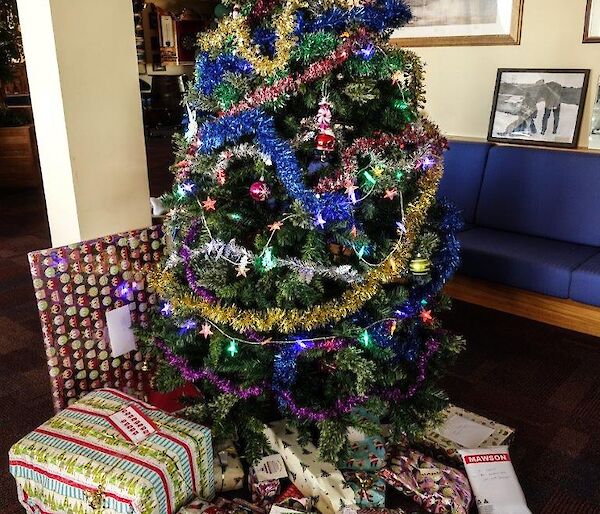 A Christmas tree with many gifts beneath