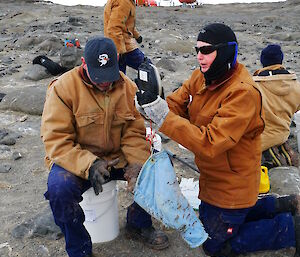 A man and a woman weighing a penguin chick which is in a bag