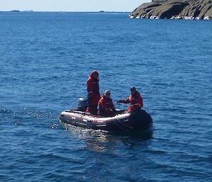 3 people in an IRB