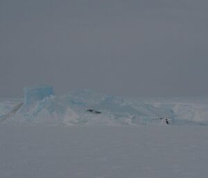 Snow and icebergs block the route toward Macey