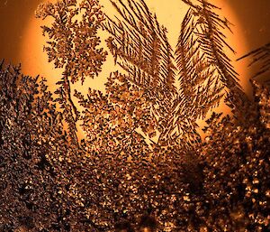 Ice crystals on the window with sun in background