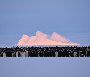 Sunlight hits the top of the iceberg behind the huddle