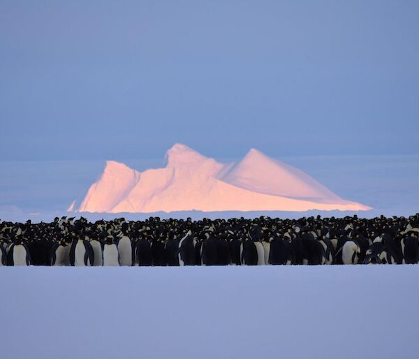 Sunlight hits the top of the iceberg behind the huddle