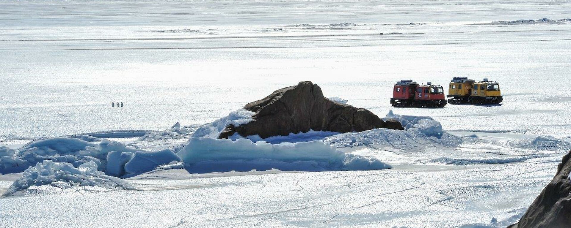 A view looking out over to the sea ice from Low Tongue