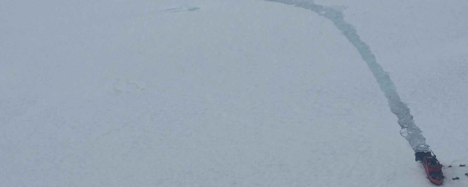 A ship in the sea ice