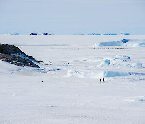 2 men and penguins on the ice