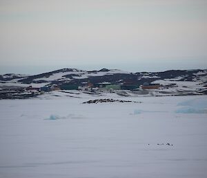 View of Davis station from the fast ice.