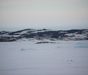 View of Davis station from the fast ice.