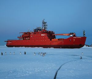 The Aurora Australis moored in the fast ice at Davis research station with Adélie penguins in the foreground.