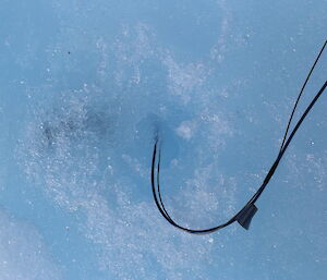 A cable linking to a pressure transducer in the start of a melt pool on the Sørsdal Glacier.