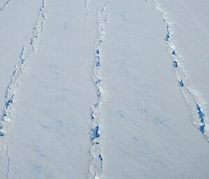 Crevasses on the surface of the Sørsdal Glacier.