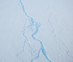 Meltwater forming on the surface of the Sørsdal Glacier.
