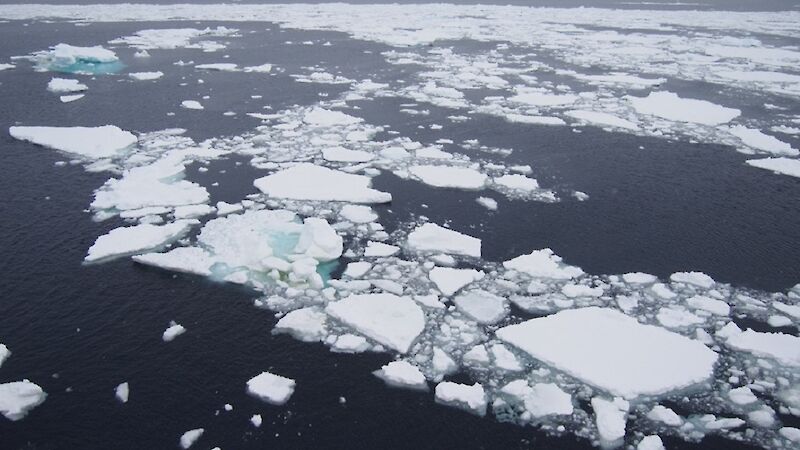 Sea ice floes.