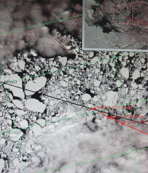 Screenshot of a satellite image of Antarctic sea ice with the proposed vessel trajectory (black line) and the actual vessel track (red line).