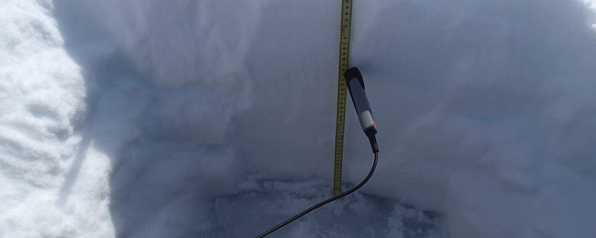 A snow pit from Transect 1 on 20 November. Here, the snow is 49cm deep; the sea ice surface is visible at the bottom. A probe measures the snow temperature, and a metal cutter of known volume used to acquire snow density samples up the snow column.