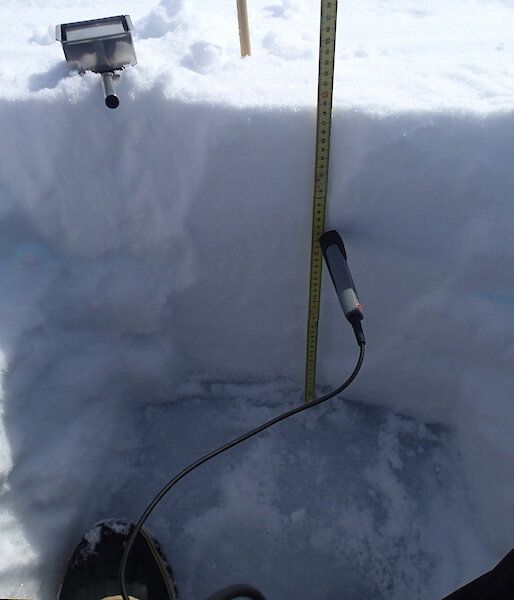 A snow pit from Transect 1 on 20 November. Here, the snow is 49cm deep; the sea ice surface is visible at the bottom. A probe measures the snow temperature, and a metal cutter of known volume used to acquire snow density samples up the snow column.