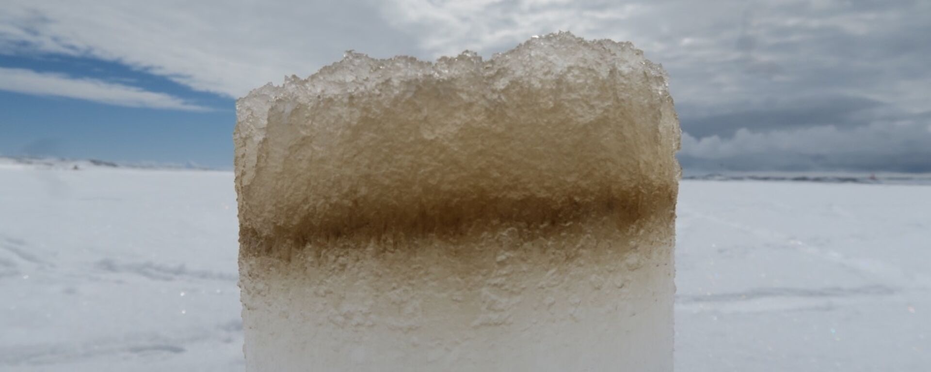 An algal community colonising the bottom of a fast-ice core.