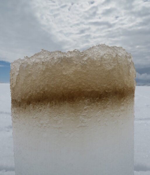 An algal community colonising the bottom of a fast-ice core.