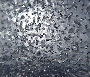 Bubbles trapped within an ice core at 130m depth.