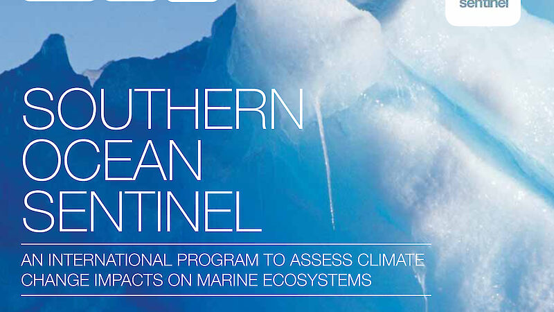 Southern Ocean Sentinel report cover