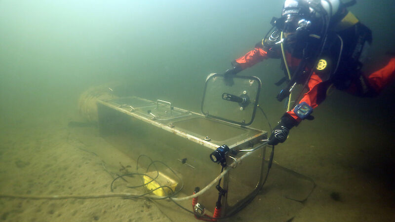 A diver tests one of the chambers in the cold waters of Tasmania before deployment in Antarctica