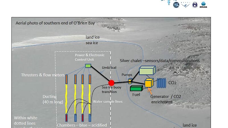 Diagram showing how the antFOCE system is put together