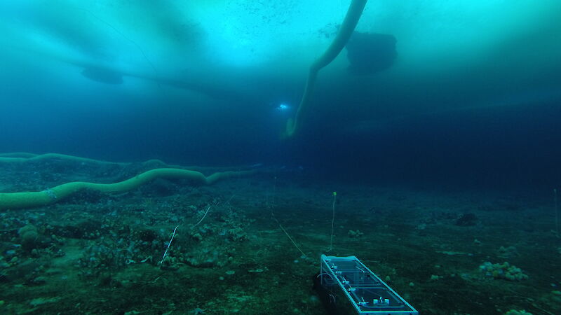 One of the experimental chambers in place on the sea bed with a duct above it ready to be lowered and connected
