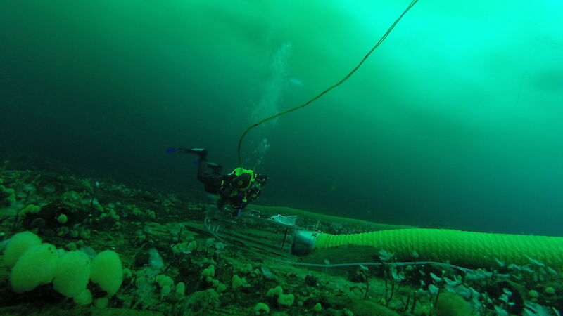 A diver deploys experiments in a chamber 14 metres below the sea ice.