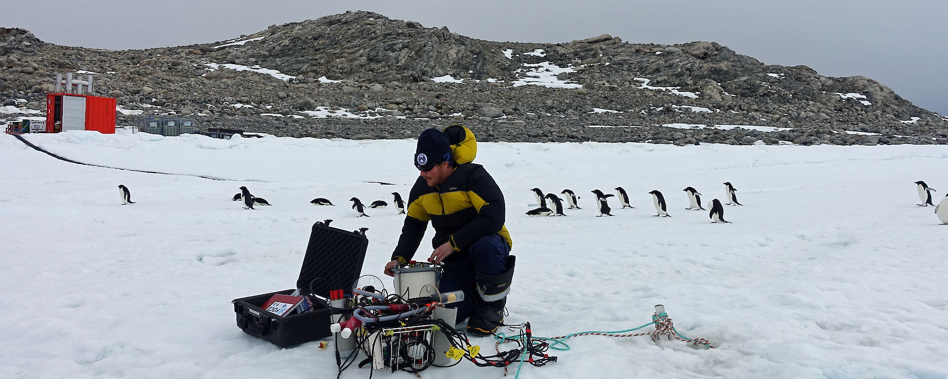 PhD student James Black prepares the mini-chambers for deployment under the sea ice, in front of an audience of Adélie penguins.