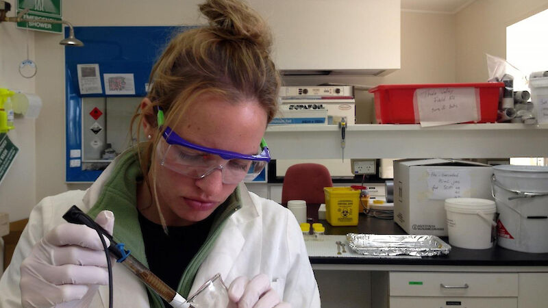 Dr. Helena Baird calibrates a pH probe used to measure sediment core properties, in the laboratory at Casey station.
