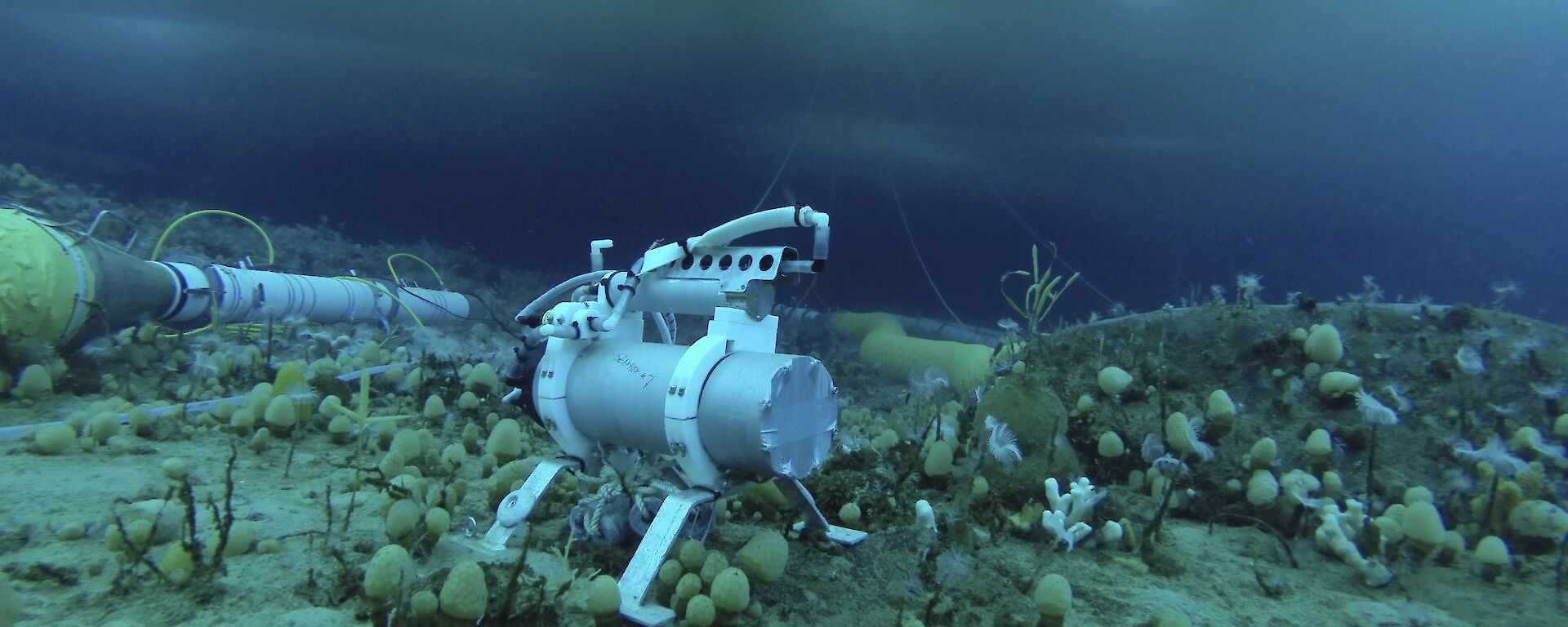 The seapHOx instrument on the sea floor at Casey beside the ocean acidification experimental chambers. Two dive holes in the sea ice above are visible