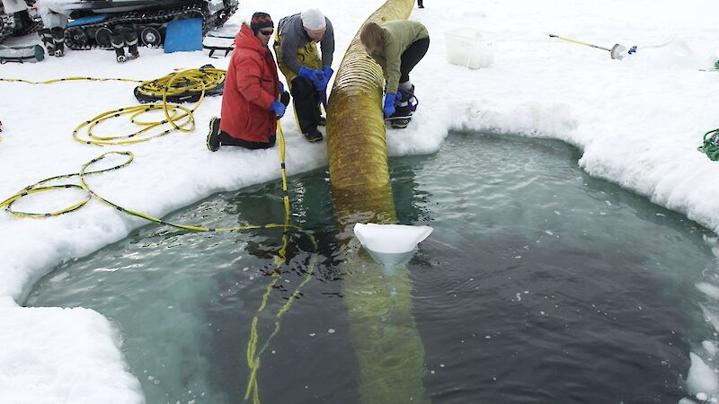 One of the large yellow ducts, or slinkies, being recovered through a dive hole in the sea ice to the surface. Divers guided the four 40m long slinkies to the dive hole with the aid of lift bags.