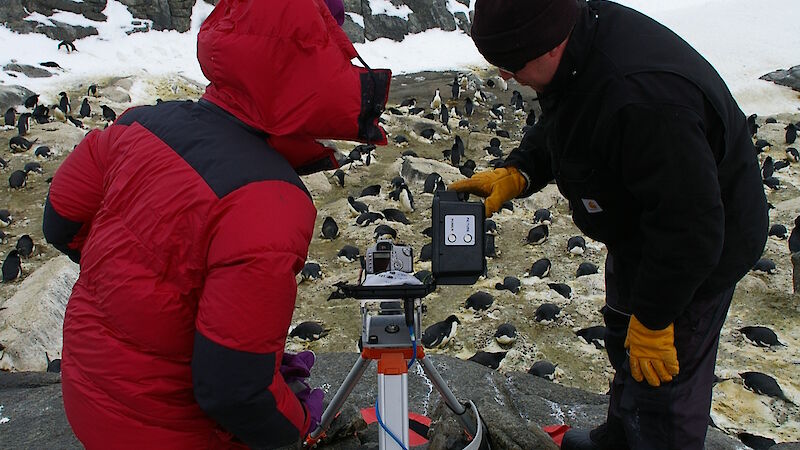 An Antarctic design engineer demonstrates a remotely operated penguin nest camera. The camera is mounted on a tripod, weighed down with rocks, and sheltered from the worst of the weather inside Pelican cases.