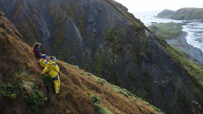 Research assistants and park rangers on the steep slopes with sheer scree slopes and The Isthmus behind