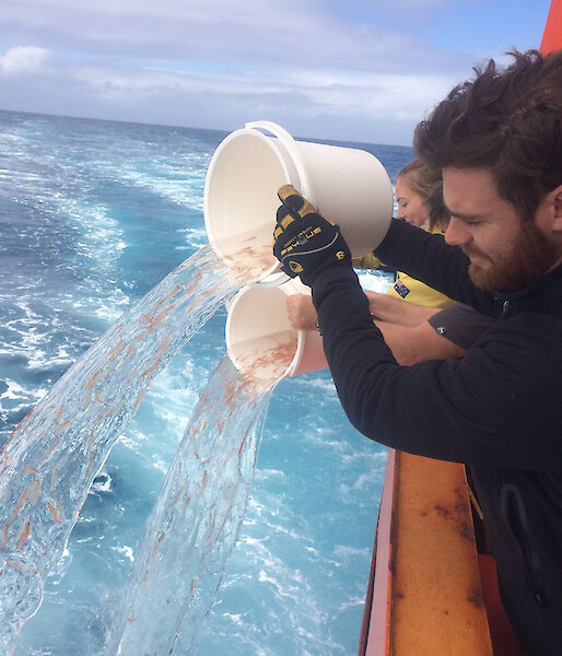 Two buckets of krill being poured into ocean from ship