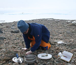 A man collects soil samples on rocky ground with ice and snow in the background