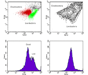 Flow cytometer output of BacLight stained marine bacteria.