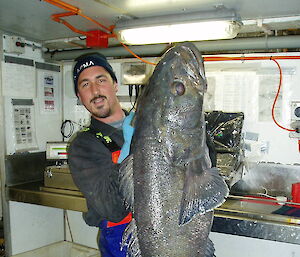 Scientific observer in wet-weather gear holds a Patagonian toothfish by the mouth that is nearly as long as he is tall.
