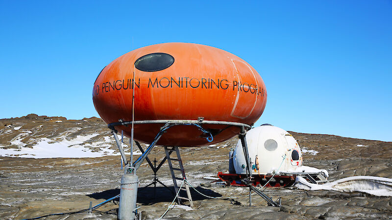 Orange field hut with a large sign that says "Penguin Monitoring Program".
