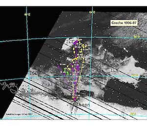 Diagram showing foraging trips of a number of Adélie penguins.