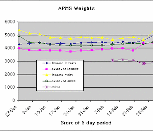 A graph.