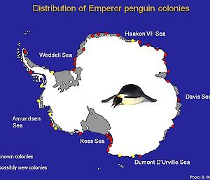 Emperor penguin colonies around the Antarctic continent updated June 2009