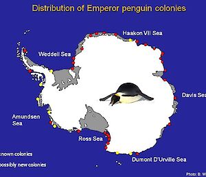 Emperor penguin colonies around the Antarctic continent updated June 2009