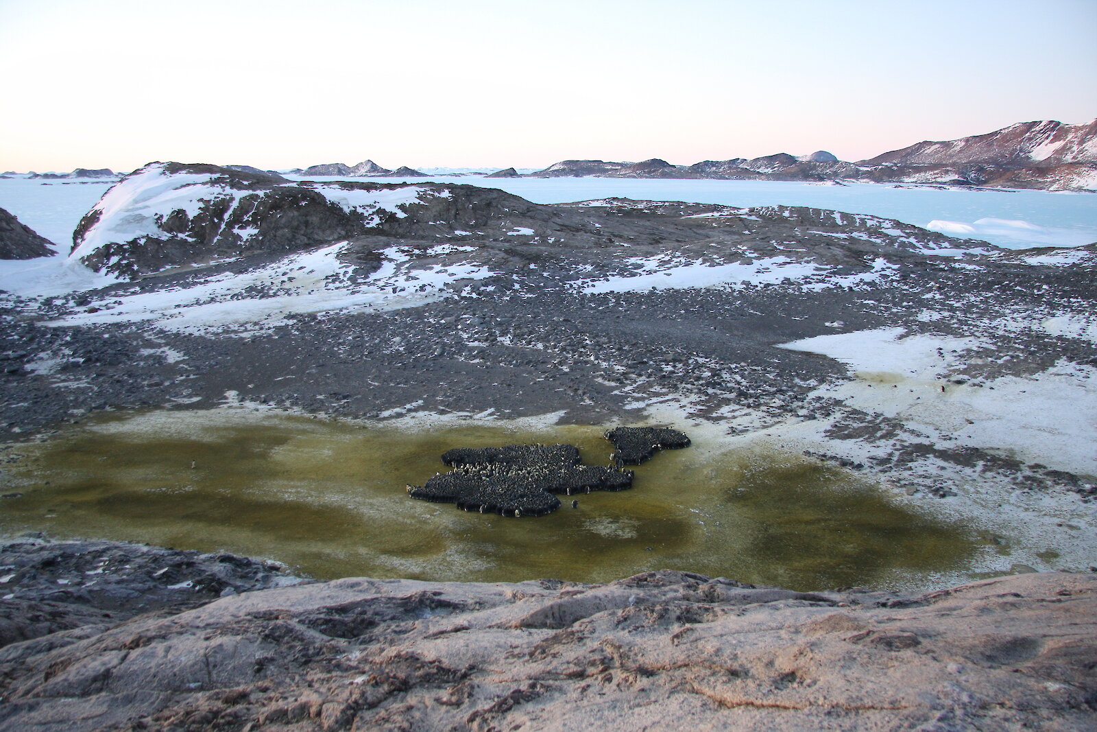 Finding emperor penguin colonies – Australian Antarctic Program