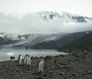 Clouds drift past a snowy mountain while penguins walk past the lake in the foreground.