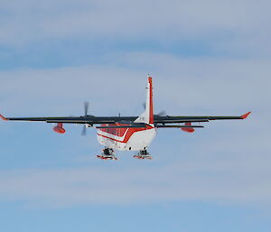 Taking off on a whale aerial survey