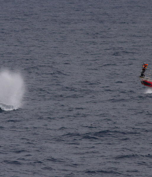 The small boat team in the Remora approach an Antarctic blue whale (Photo: Carlos Olavarria)